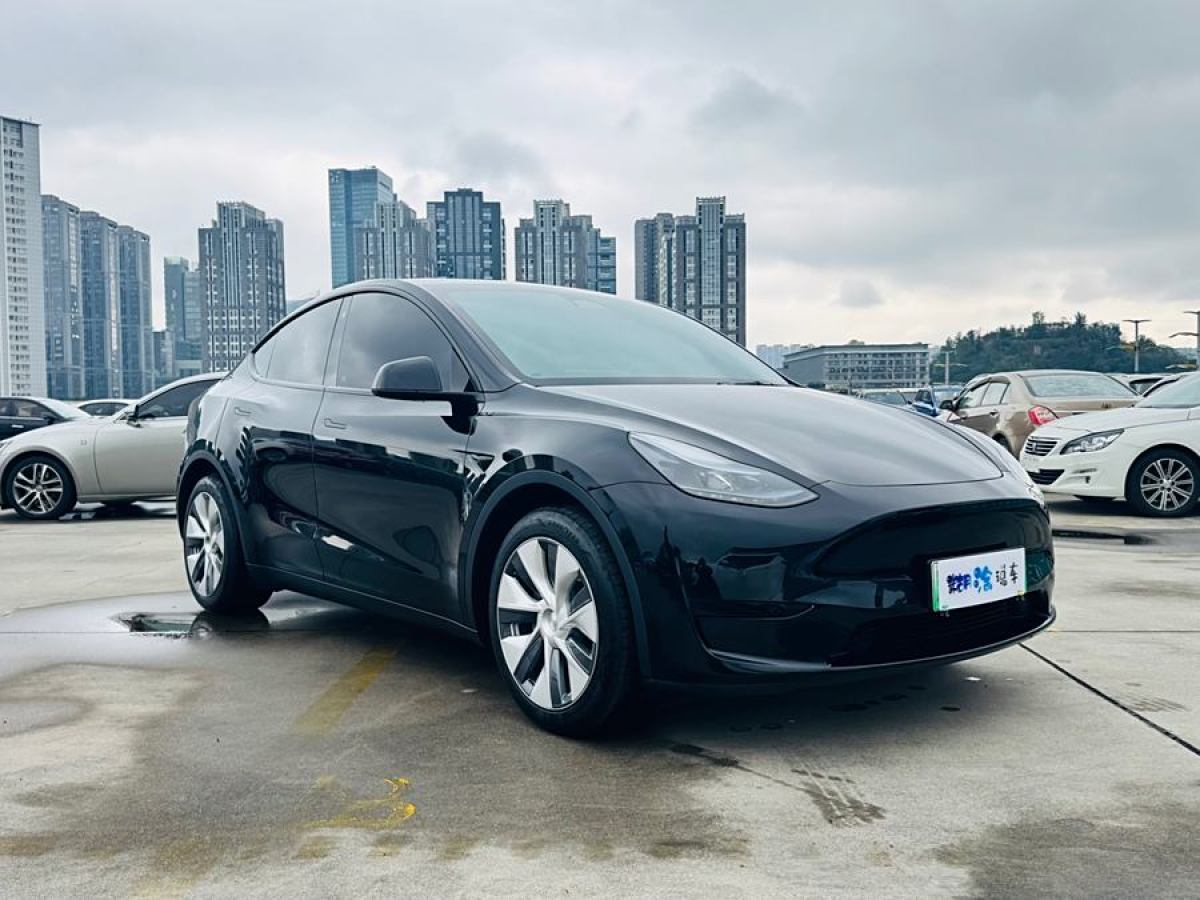 特斯拉 Model 3  2022款 后輪驅(qū)動(dòng)版圖片