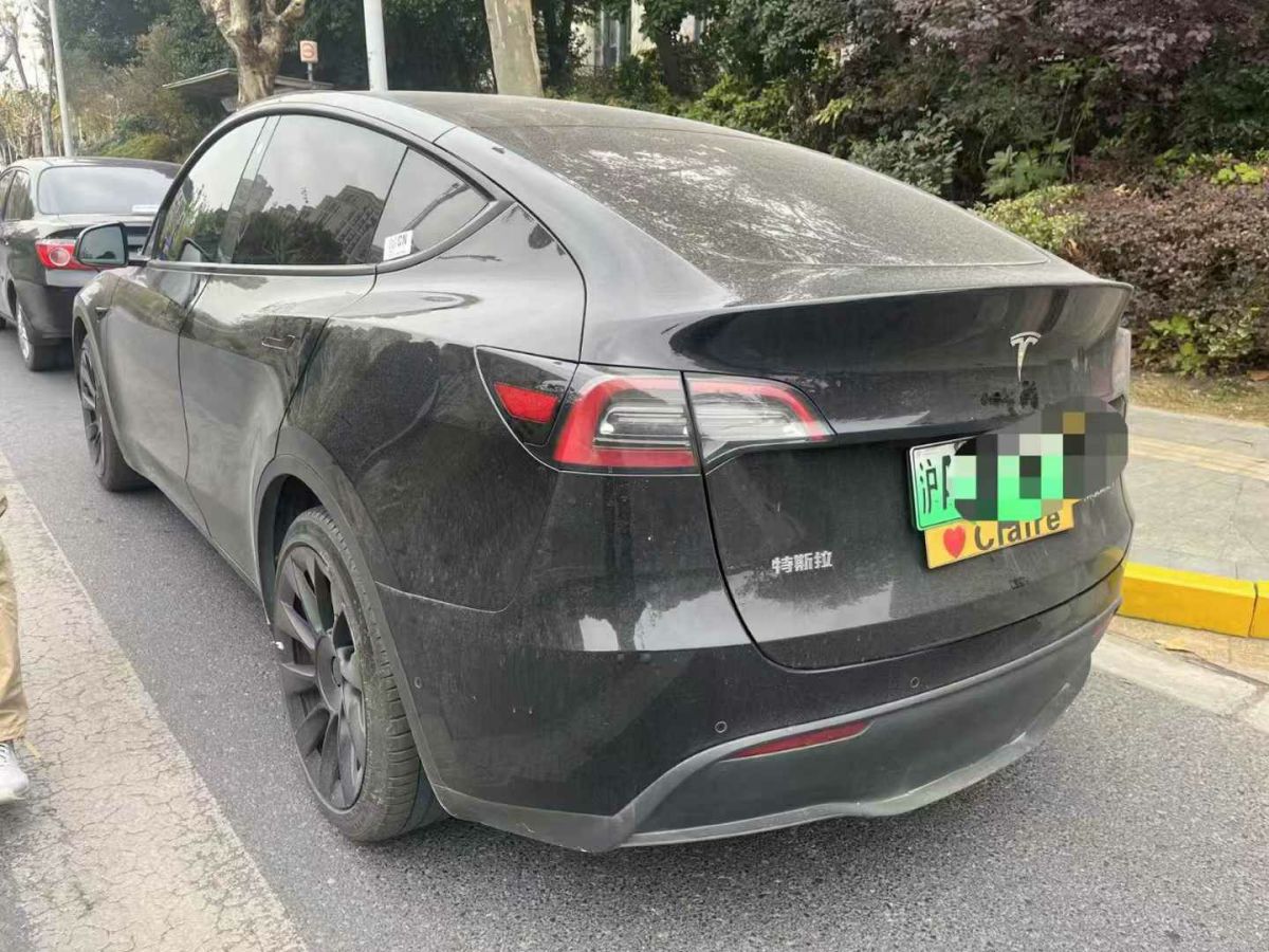 特斯拉 Model Y  2021款 標(biāo)準(zhǔn)續(xù)航后驅(qū)版圖片