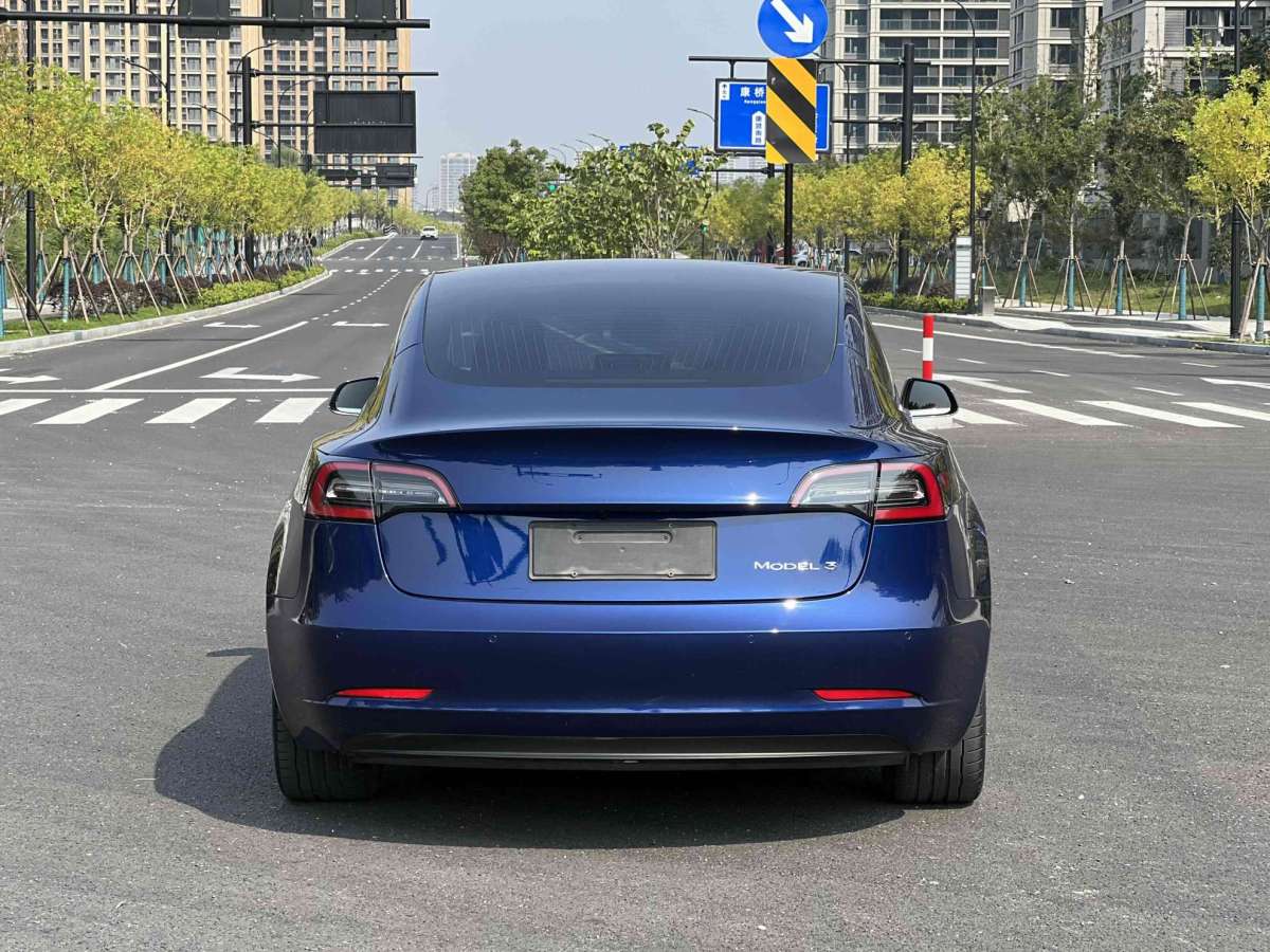 2020年07月特斯拉 Model 3  2019款 標(biāo)準(zhǔn)續(xù)航后驅(qū)升級(jí)版