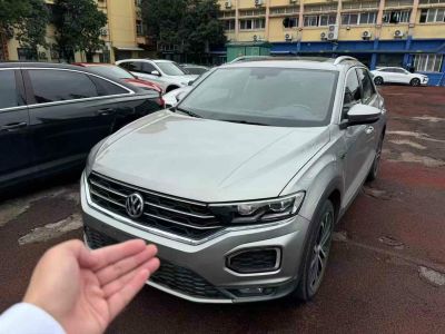 2019年1月 大眾 Tiguan(進(jìn)口) 330TSI 四驅(qū)高配型圖片