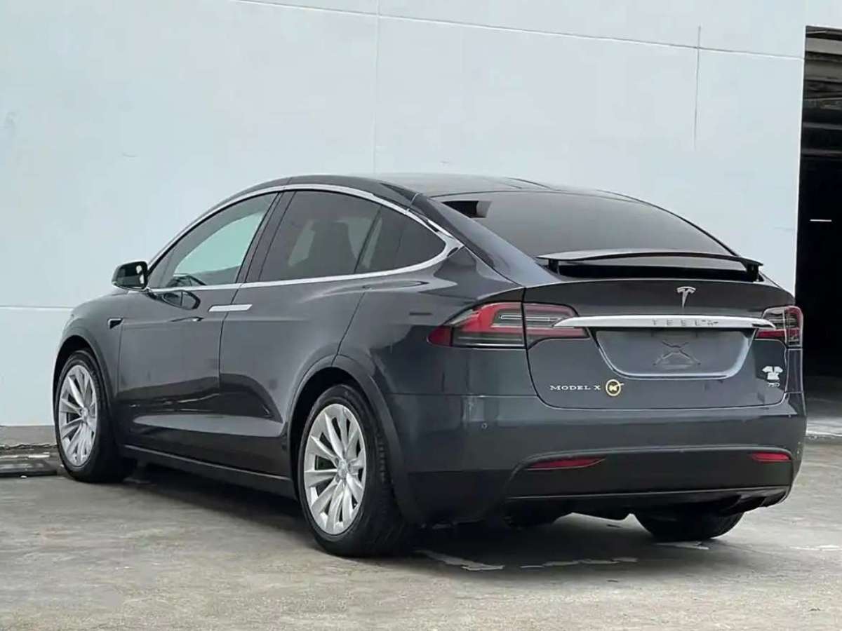 特斯拉 Model X  2016款 Model X 75D圖片