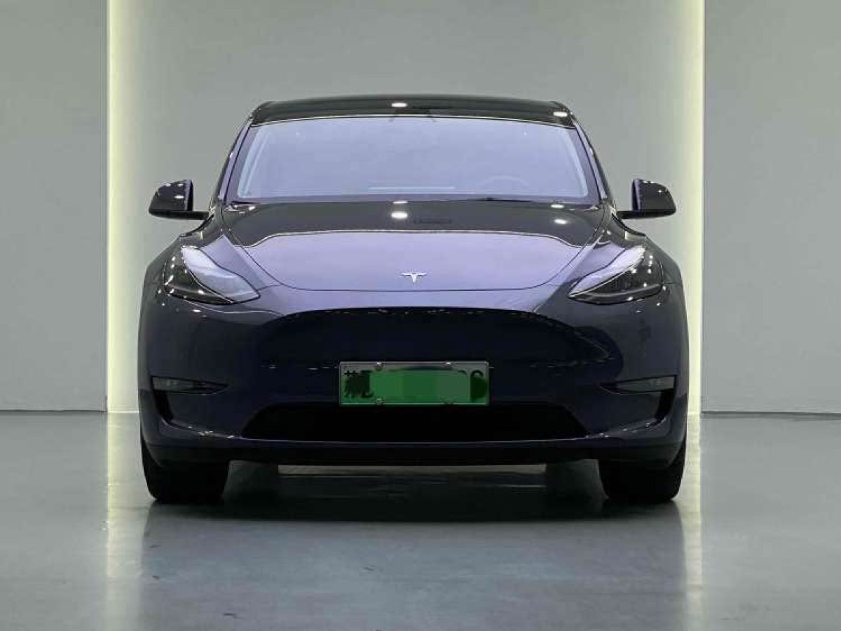 特斯拉 Model Y  2021款 長續(xù)航全輪驅(qū)動版 3D7圖片