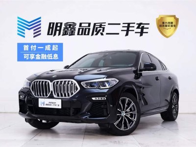 2020年10月 寶馬 寶馬X6(進(jìn)口) xDrive40i M運(yùn)動(dòng)套裝圖片