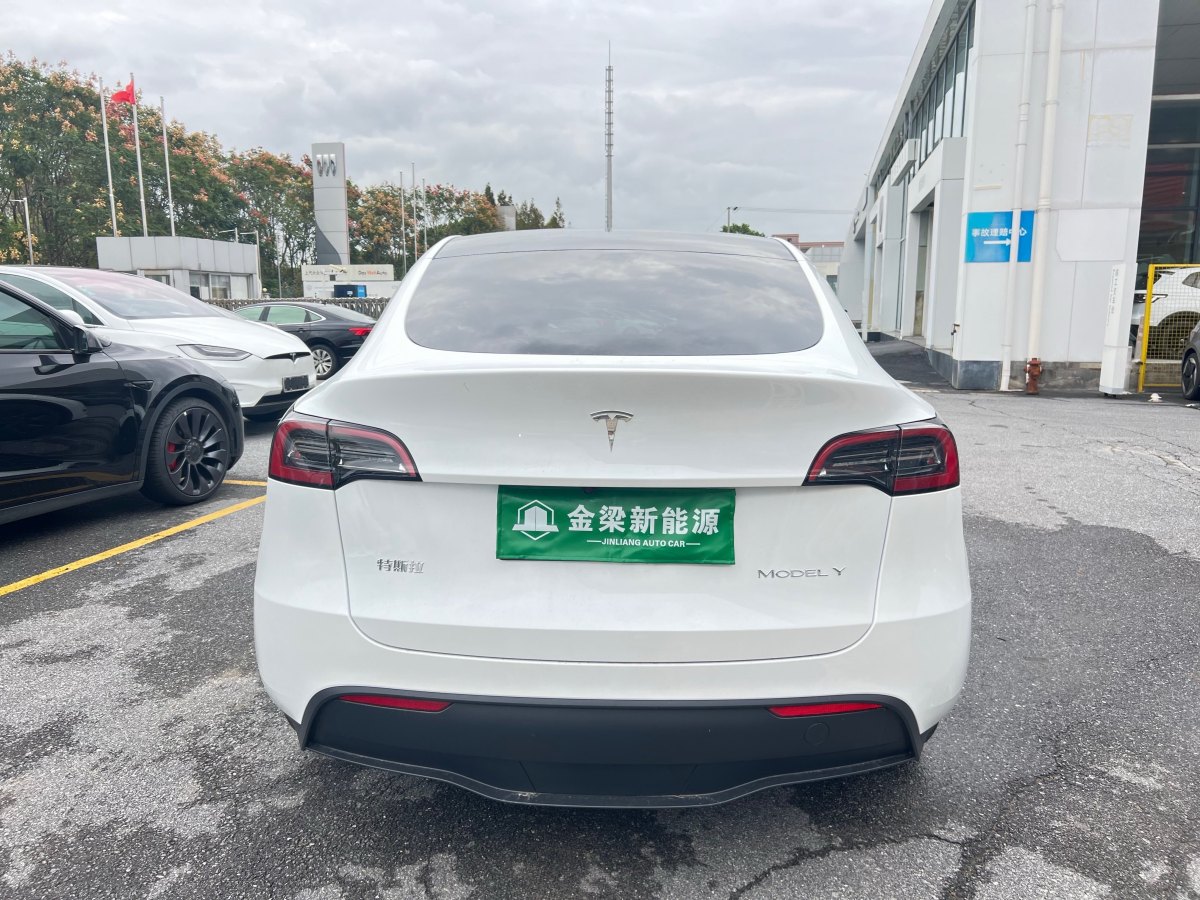 特斯拉 Model 3  2020款 改款 長續(xù)航后輪驅(qū)動版圖片