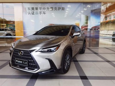 2023年2月 雷克薩斯 NX 260 前驅 創(chuàng)馳版圖片