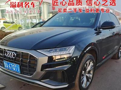 2022年8月 奧迪 奧迪Q8(進(jìn)口) 55 TFSI 豪華動(dòng)感型圖片