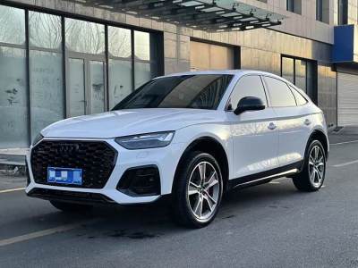 2023年4月 奧迪 奧迪Q5L Sportback 45 TFSI 豪華型圖片