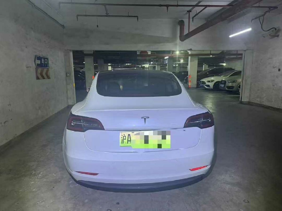 特斯拉 Model 3  2020款 標(biāo)準(zhǔn)續(xù)航后驅(qū)升級版圖片