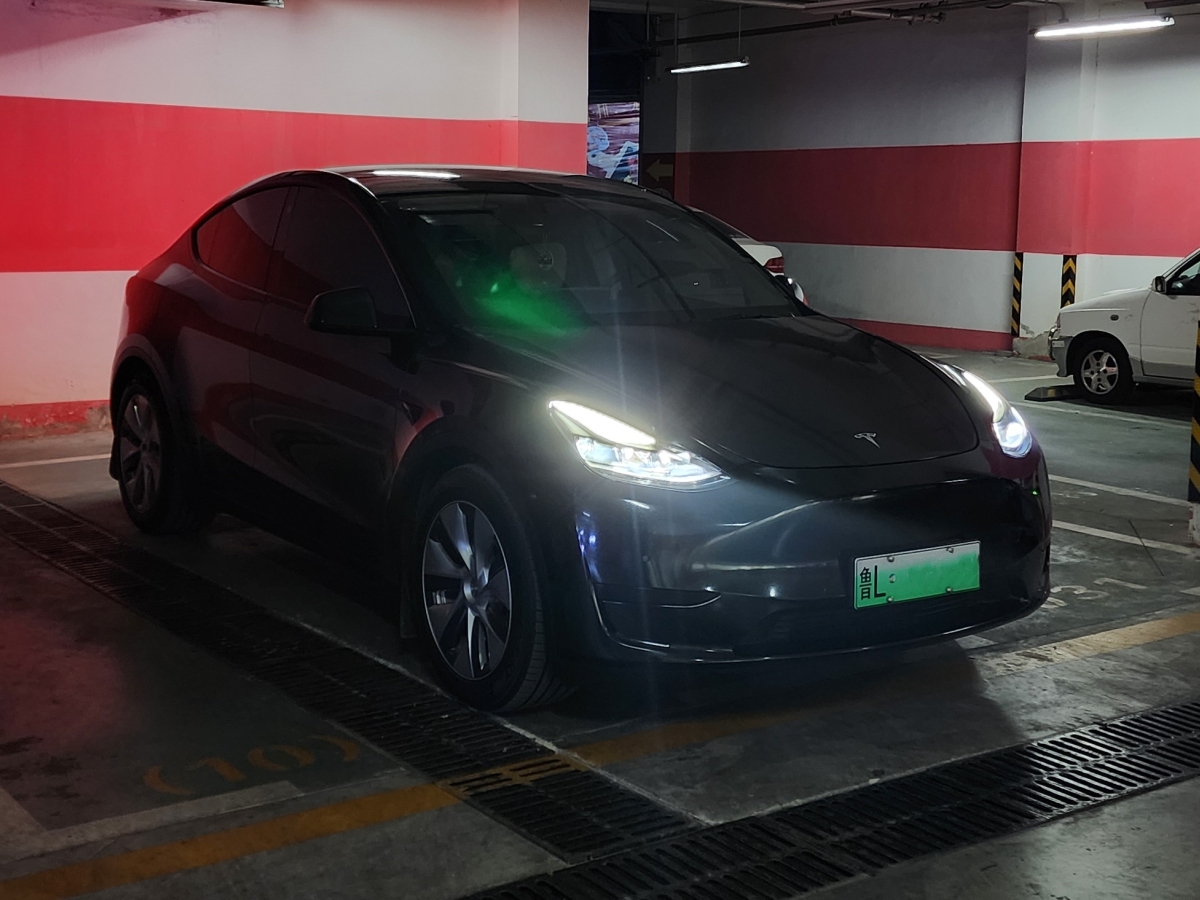 特斯拉 Model 3  2020款 改款 長(zhǎng)續(xù)航后輪驅(qū)動(dòng)版圖片