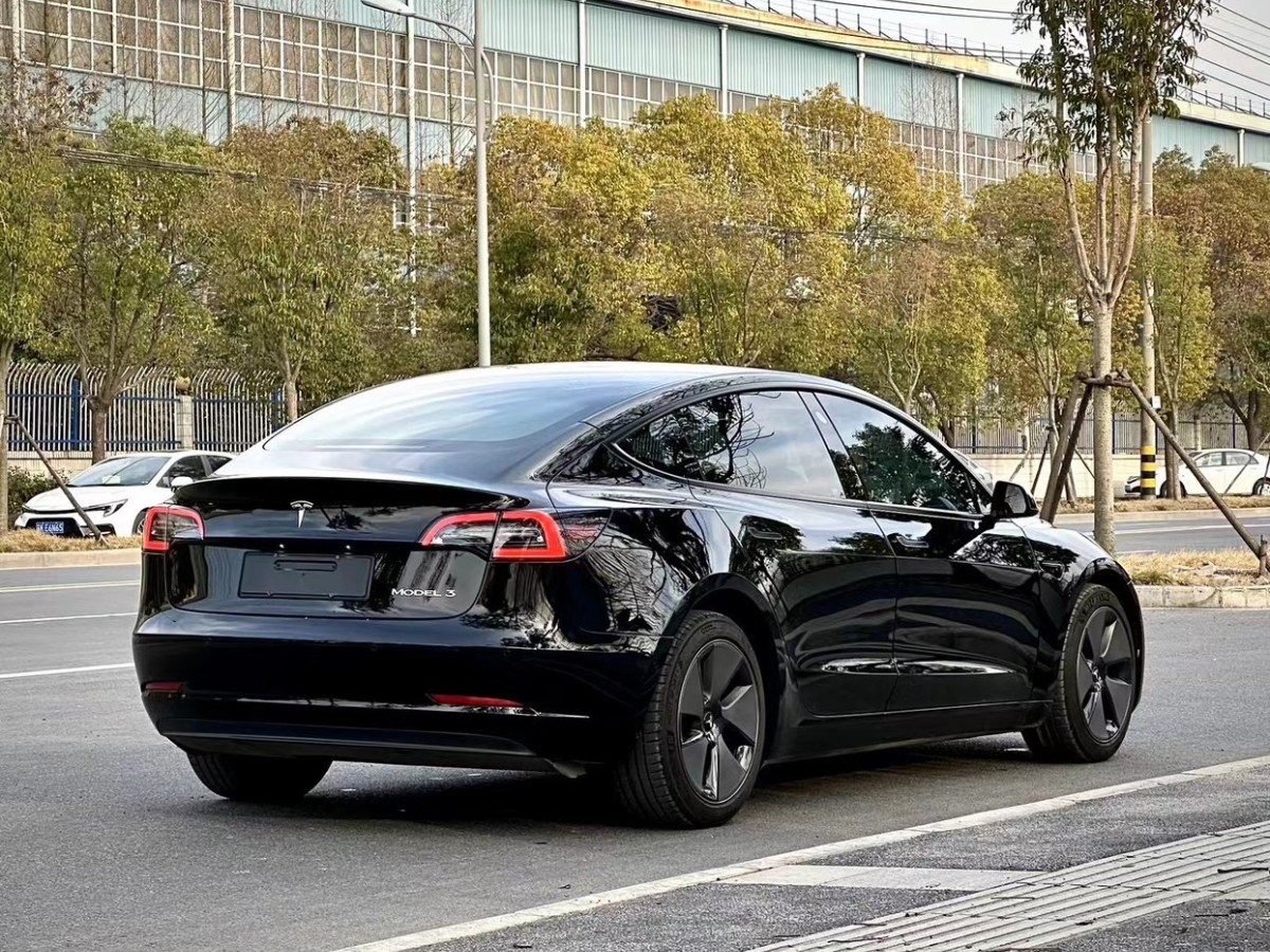 特斯拉 Model 3  2022款 后輪驅(qū)動版圖片