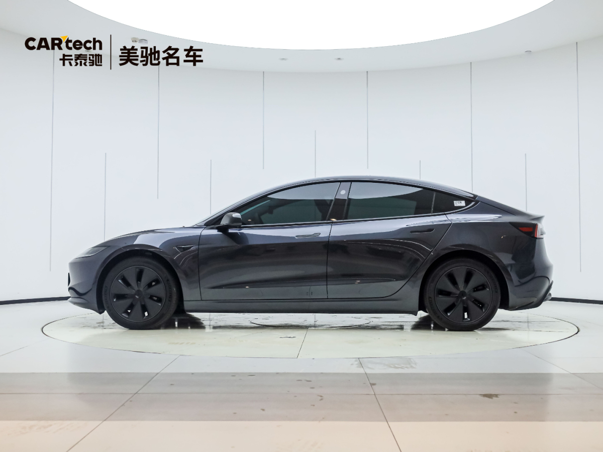 特斯拉 Model 3  2019款 Performance高性能全輪驅動版圖片