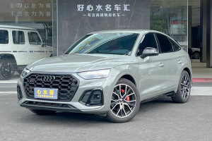 奥迪SQ5 奥迪 SQ5 3.0 TFSI quattro