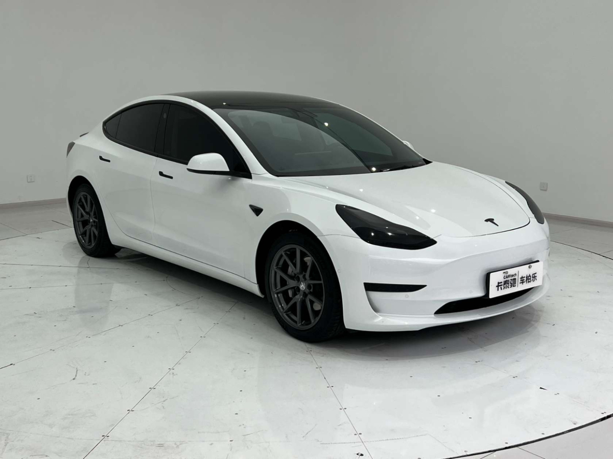 特斯拉 Model 3  2019款 標(biāo)準(zhǔn)續(xù)航后驅(qū)升級(jí)版圖片