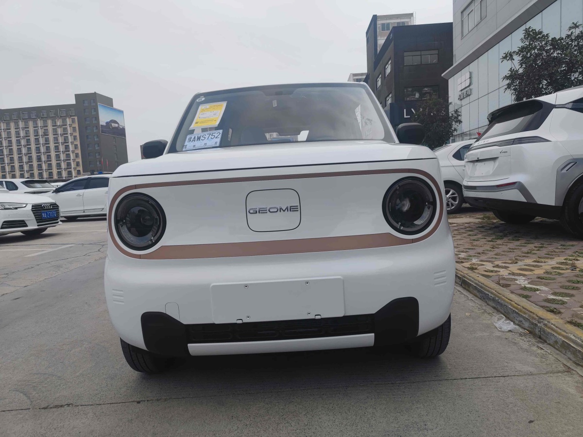 吉利 熊貓mini  2024款 熊貓mini 200km 龍騰版圖片