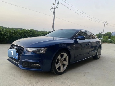 2012年11月 奥迪 奥迪A5(进口) 3.0TFSI Sportback quattro图片