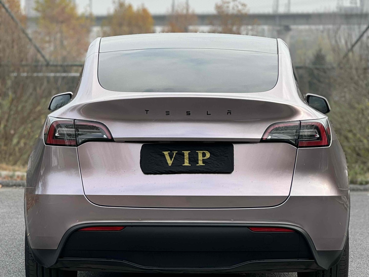 特斯拉 Model Y  2022款 后轮驱动版图片