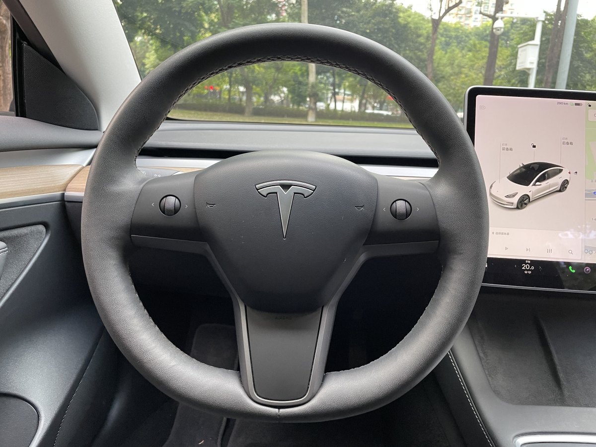 特斯拉 Model 3  2019款 標準續(xù)航后驅升級版圖片