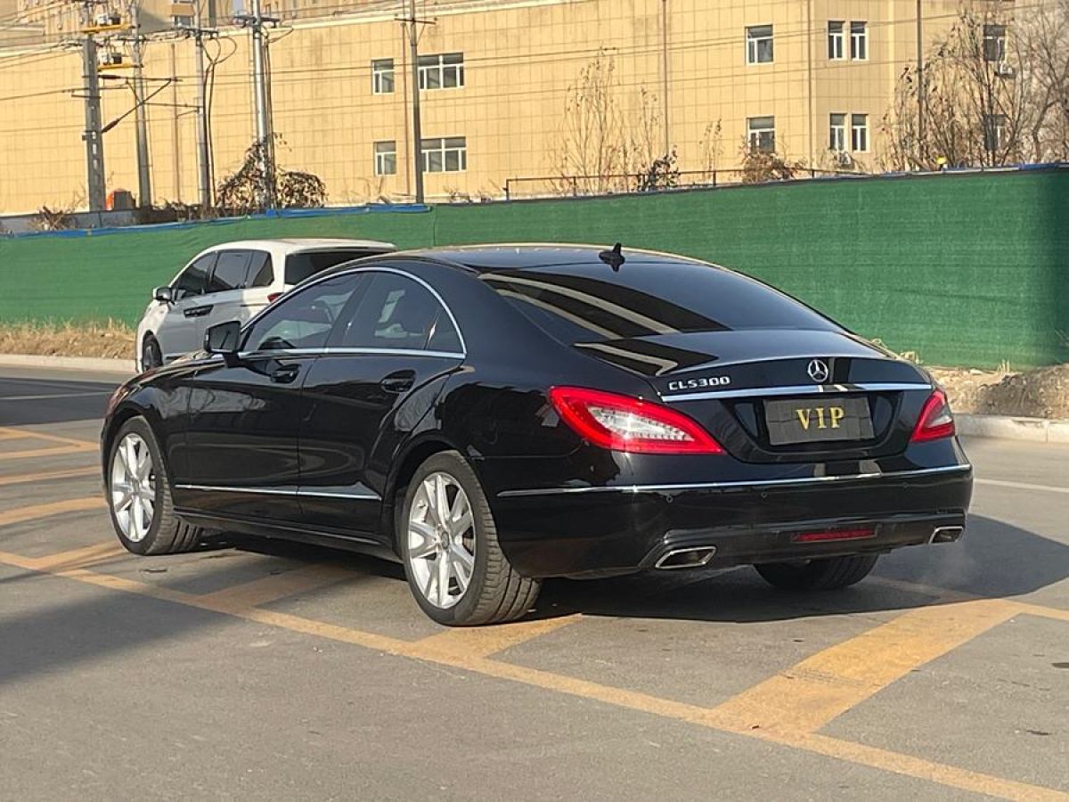 奔馳 奔馳CLS級  2012款 CLS 300 CGI圖片