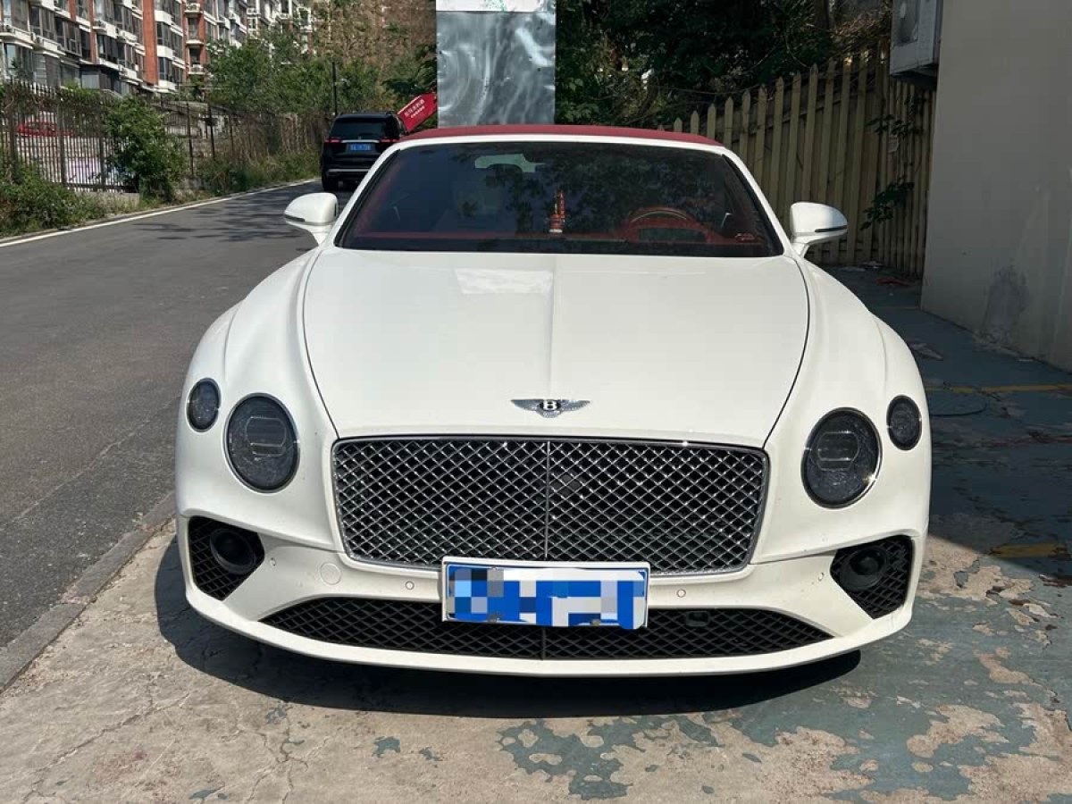 賓利 歐陸  2020款 4.0T GT V8 敞篷版圖片