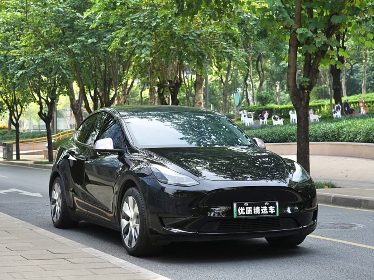 特斯拉 Model 3  2022款 后輪驅(qū)動(dòng)版圖片