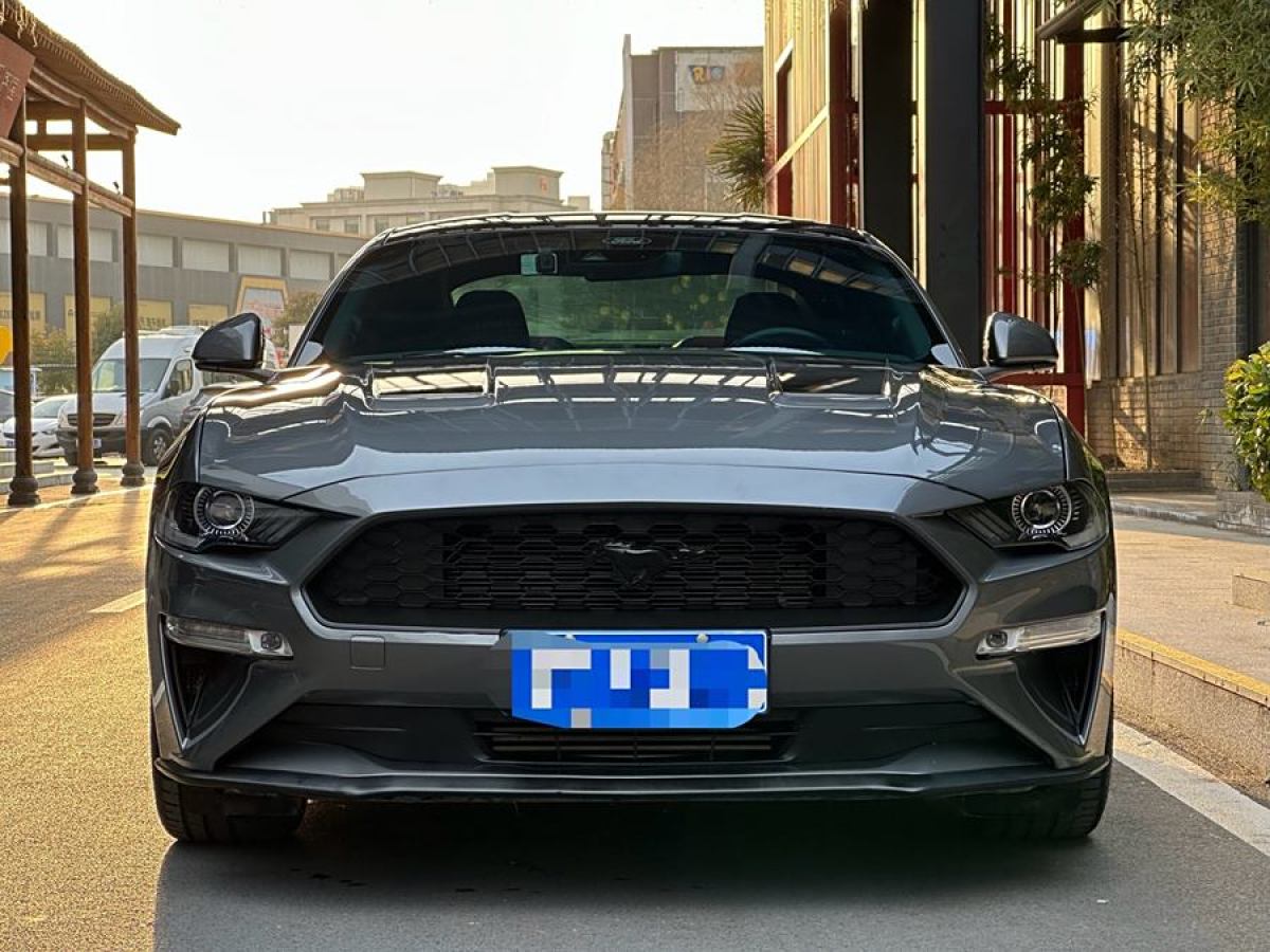 福特 Mustang  2021款 2.3L EcoBoost 黑曜魅影特別版圖片