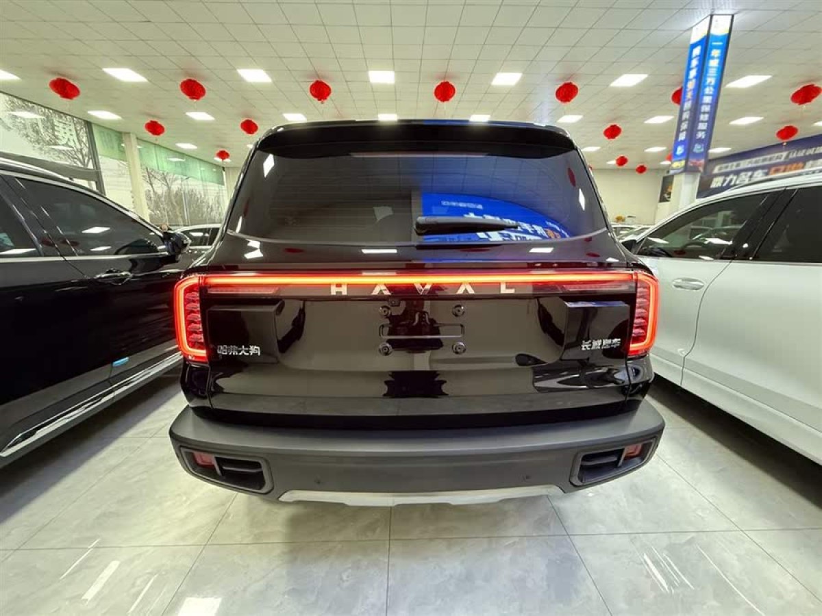哈弗 哈弗大狗  2024款 1.5T DCT邊牧版圖片