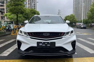 繽越 吉利  運(yùn)動(dòng)款 260T DCT游俠 國VI