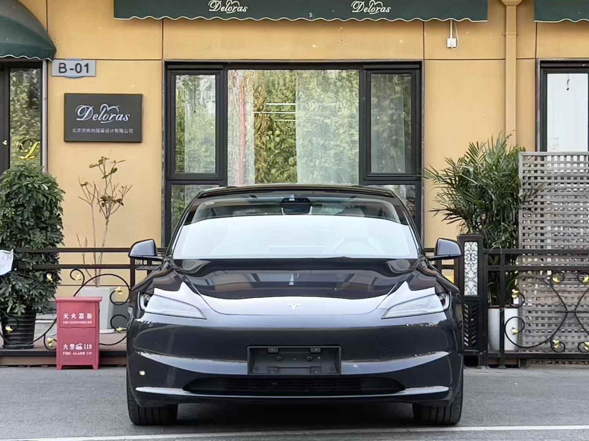 特斯拉 Model Y  2024款 Performance高性能版圖片