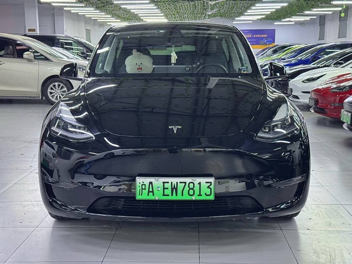 特斯拉 Model Y  2021款 長續(xù)航全輪驅(qū)動版 3D7圖片