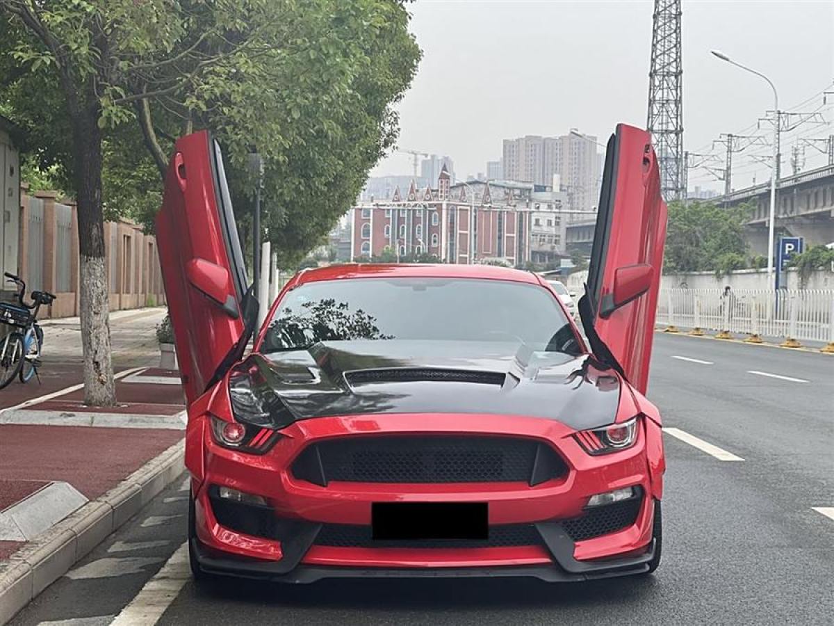 福特 Mustang  2015款 2.3T 性能版圖片