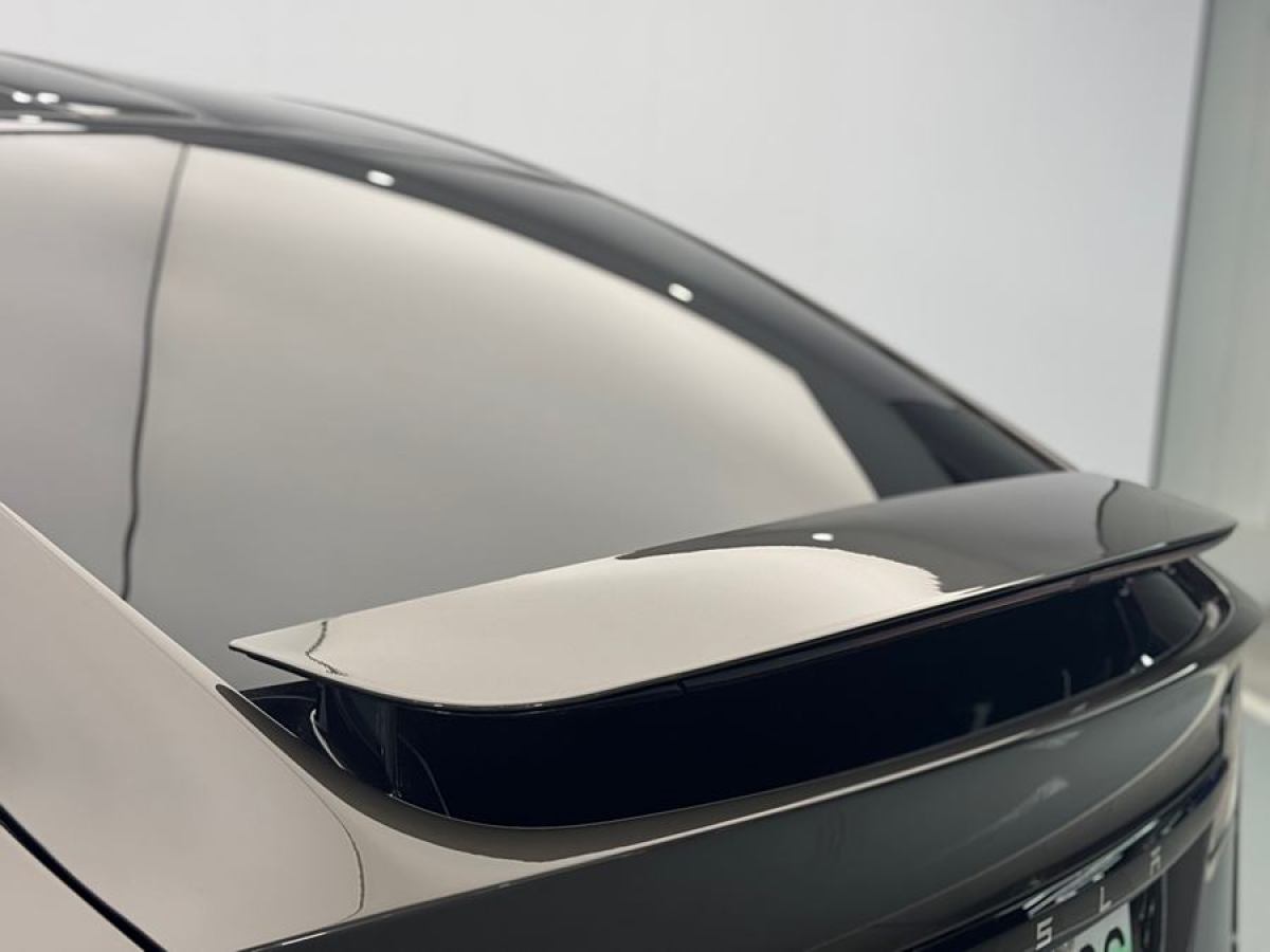 特斯拉 Model X  2023款 双电机全轮驱动版图片