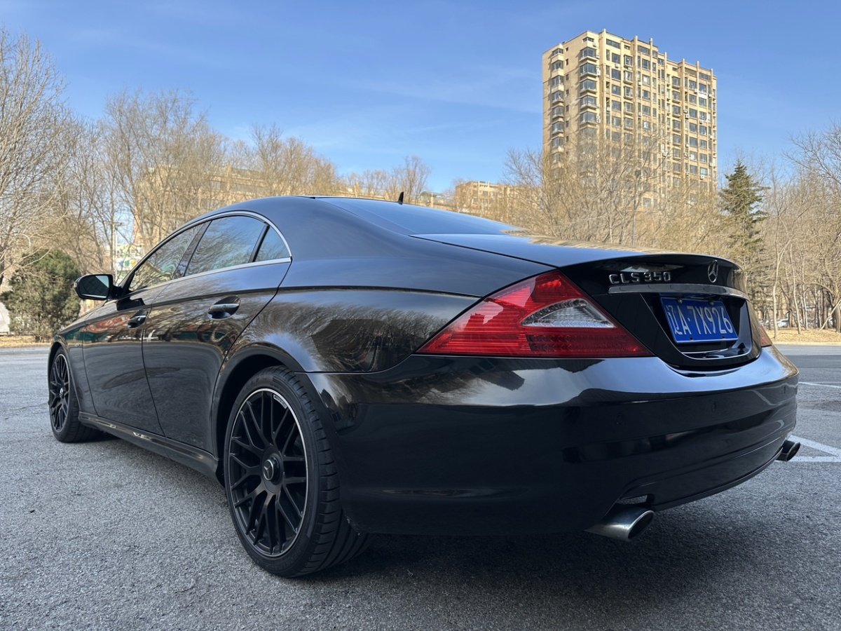 奔馳 奔馳CLS級  2009款 CLS 350圖片