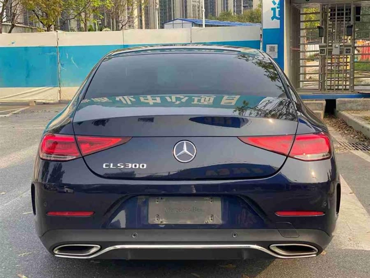 奔馳 奔馳CLS級  2018款 CLS 300 豪華型圖片