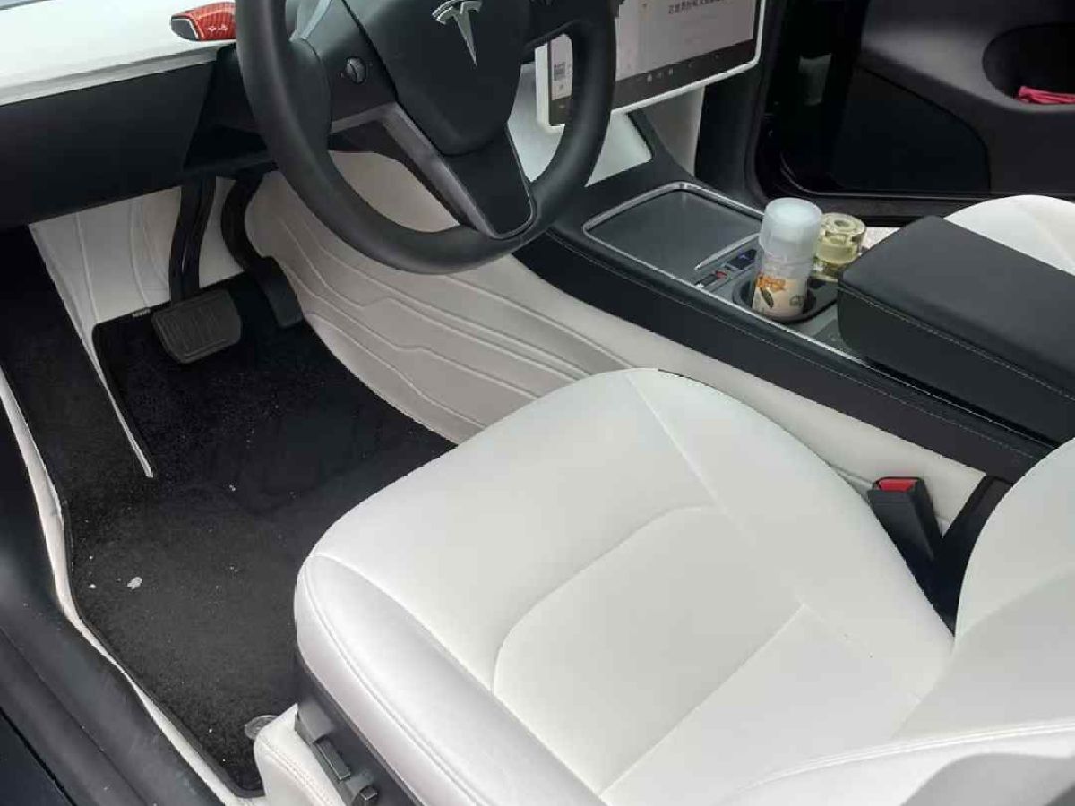 特斯拉 Model S  2021款 Performance 高性能版圖片