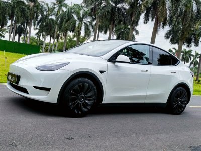 2022年11月 特斯拉 Model Y 改款 后輪驅(qū)動版圖片