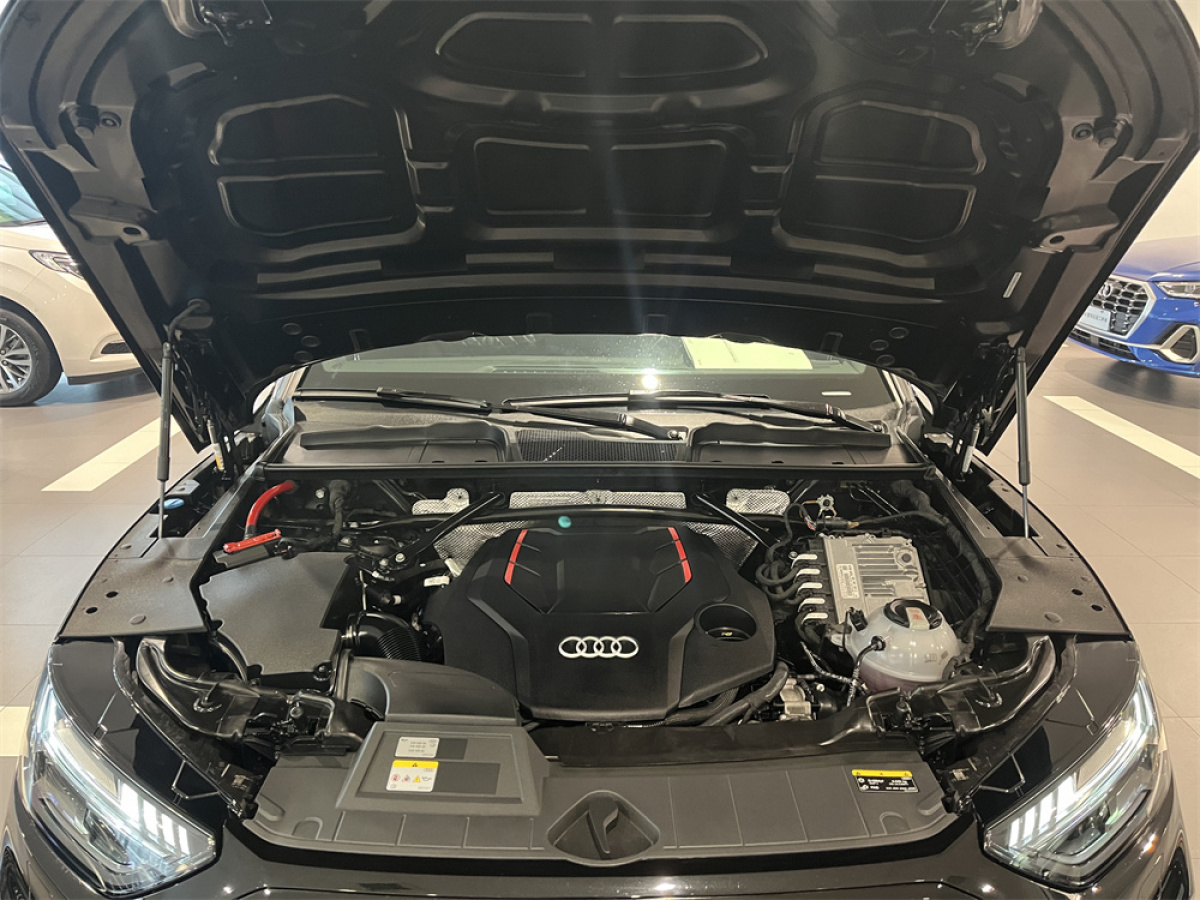 奧迪 奧迪SQ5  2014款 SQ5 3.0 TFSI quattro圖片