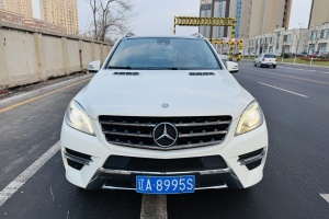 奔驰M级 奔驰 ML 350 动感型