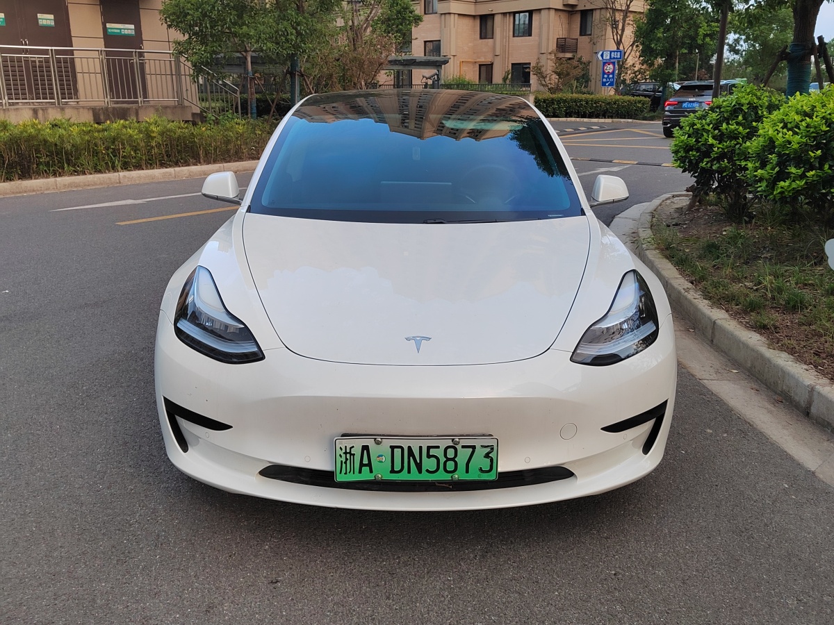 特斯拉 Model 3  2019款 標(biāo)準(zhǔn)續(xù)航后驅(qū)升級(jí)版圖片