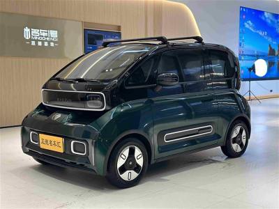 2022年3月 寶駿 寶駿KiWi EV 藝術(shù)家輕享版 三元鋰圖片