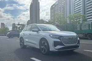 奧迪Q4 e-tron 奧迪 40 e-tron 創(chuàng)境版