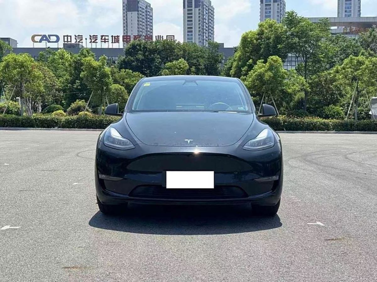 特斯拉 Model 3  2021款 改款 標(biāo)準(zhǔn)續(xù)航后驅(qū)升級(jí)版圖片