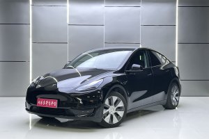 Model Y 特斯拉 改款 长续航后轮驱动版