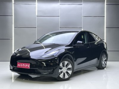 2023年4月 特斯拉 Model Y 改款 長(zhǎng)續(xù)航后輪驅(qū)動(dòng)版圖片