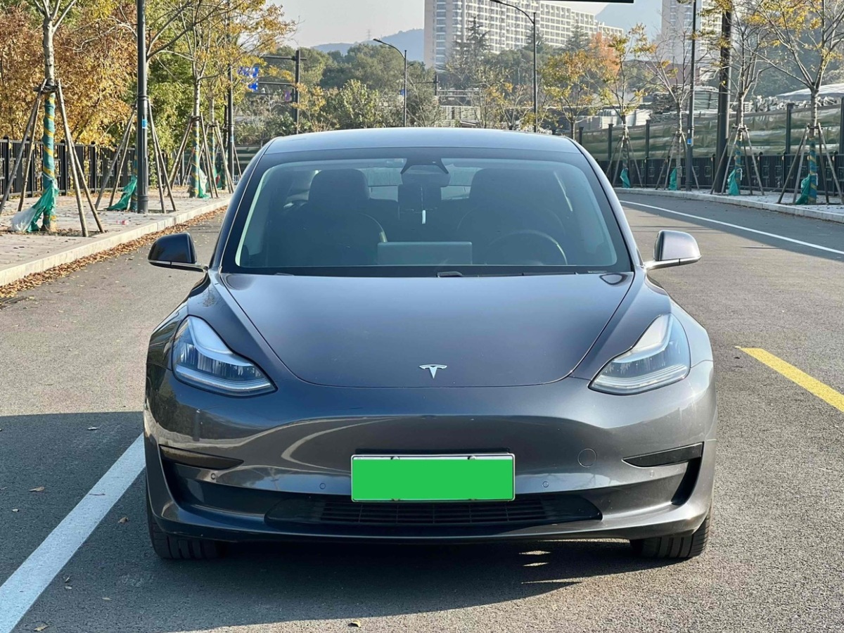 特斯拉 Model 3  2019款 標(biāo)準(zhǔn)續(xù)航后驅(qū)升級(jí)版圖片