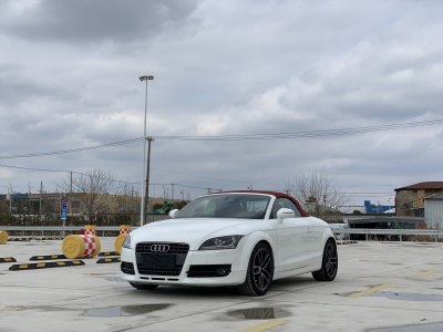 2010年5月 奧迪 奧迪TT(進(jìn)口) TT Roadster 2.0TFSI圖片