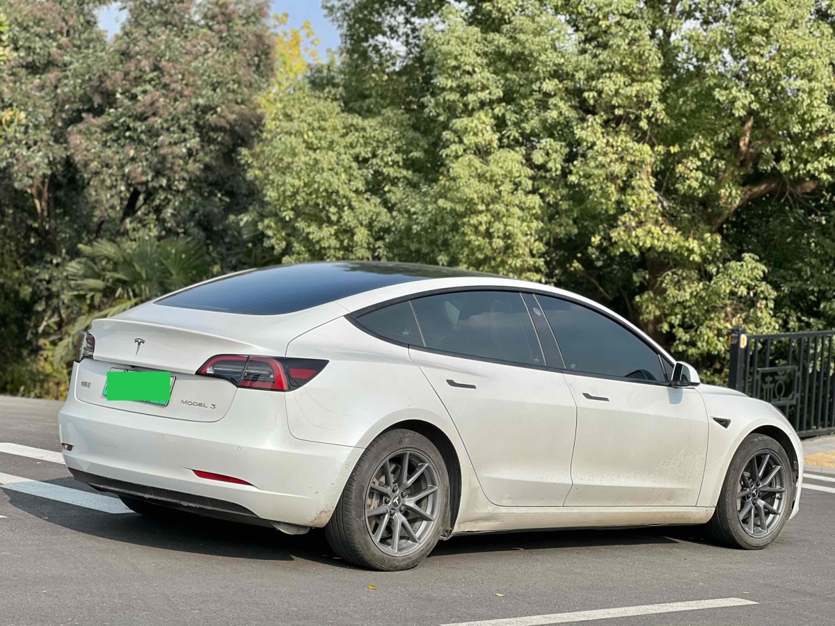 特斯拉 Model 3  2019款 標(biāo)準(zhǔn)續(xù)航后驅(qū)升級(jí)版圖片