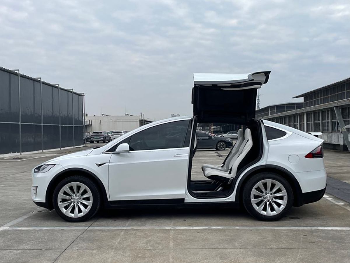 特斯拉 Model X  2019款 長續(xù)航版圖片