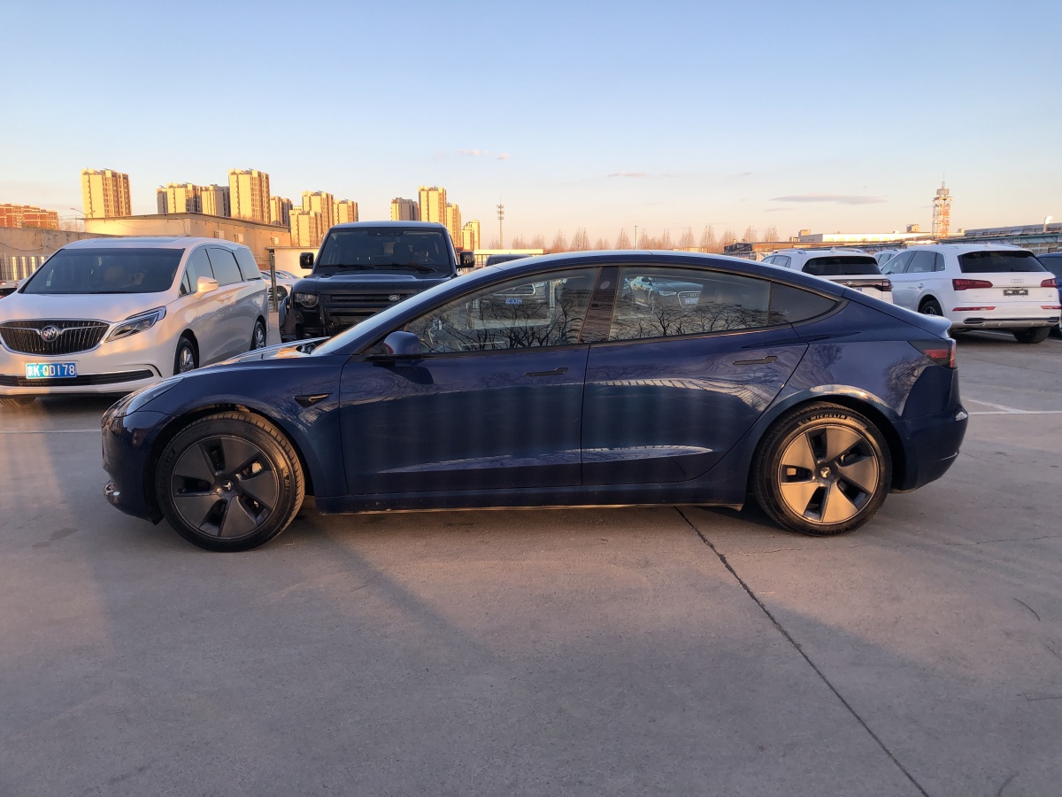 特斯拉 Model 3  2019款 標(biāo)準(zhǔn)續(xù)航后驅(qū)升級(jí)版圖片