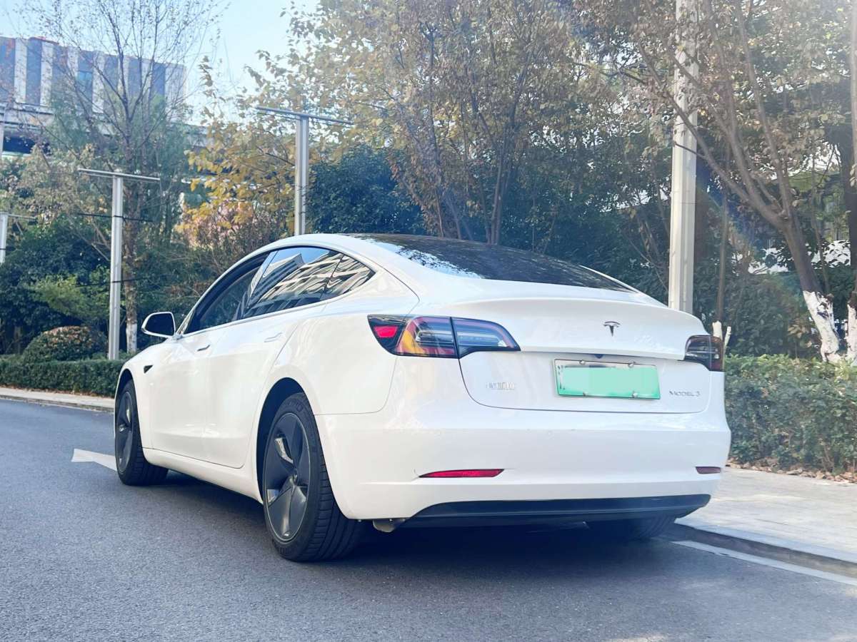 特斯拉 Model 3  2019款 標準續(xù)航后驅(qū)升級版圖片