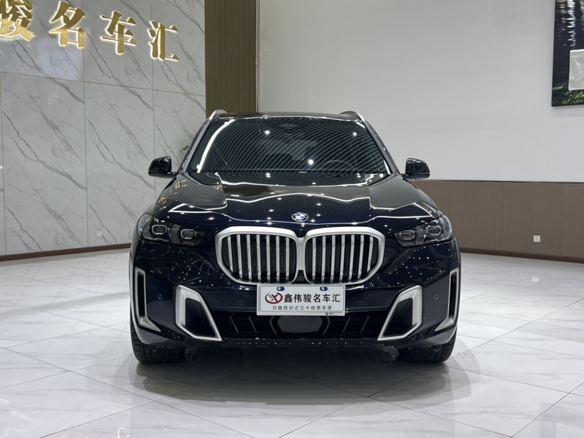 寶馬 寶馬X5  2023款 xDrive 40Li M運(yùn)動(dòng)曜夜套裝圖片